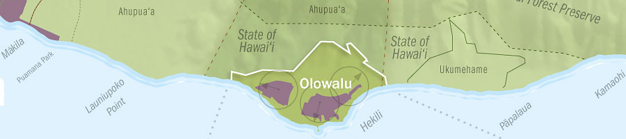Olowalu Town