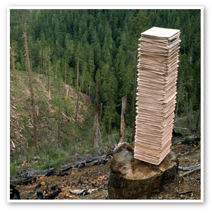 paper looms large on the planetary landscape